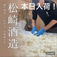 画像290